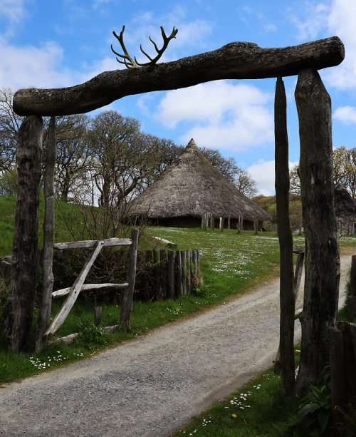 Castell Henllys Iron Age Settlement, Pembrokeshire, South Wales, 5.5.18.Reconstructed roundhouse com