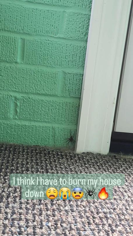 katiiie-lynn:mossyoakmaster:katiiie-lynn:Arachnophobia, a 3 part series:Katie, home alone vs. big giant scary spiderKatie: 1Spider: 0I was just trying to mind my own business this morning and do some stretches on the floor in our reading room. Sat down