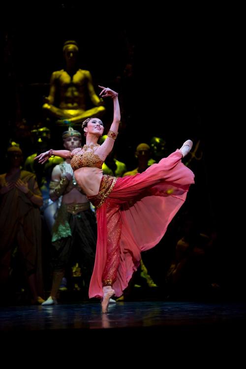 Ako Kondo in La Bayadère, November 2014. Australian Ballet. Photograph by Lynette Wills.Ako Kondo as