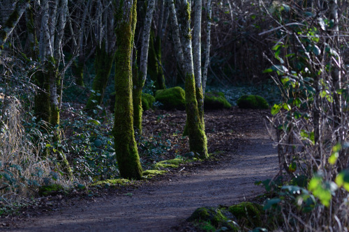 darkcoastphotography:Familiar TerritoryButtertubs Marsh, Vancouver Island, British Columbiatumblr | 