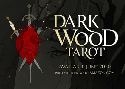 abigaillarson:Pre-orders for “The Dark Wood Tarot” are now open!