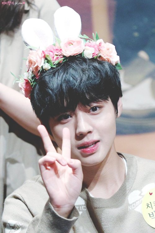© 커피향기