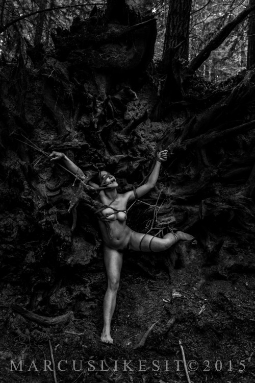 marcuslikesit:  Bound in a Redwood Forest in California Potography and Tying by Marcuslikesit (leave the credits intact when reblogging) 