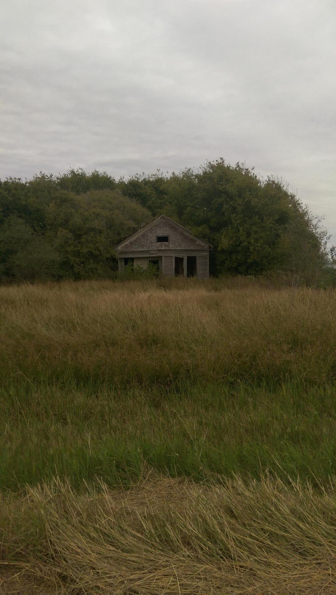 abandonedandurbex:  Woods overtaking an old house in Victoria, Texas  [1080x1920]