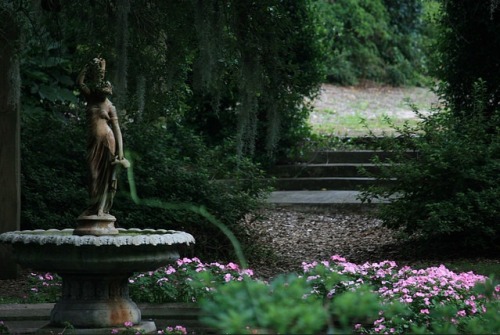 Airlie Gardens  by Debbie
