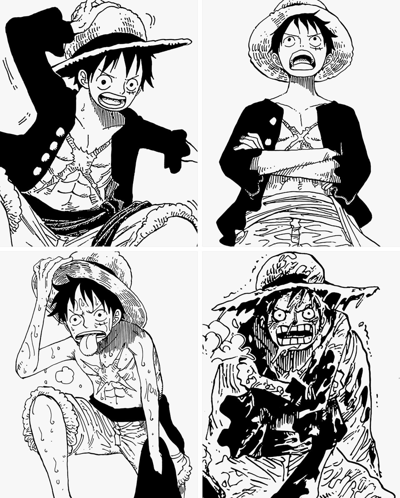 zorobae:  May 5th 2015 - Happy Birthday to the Future Pirate KingMonkey D. Luffy