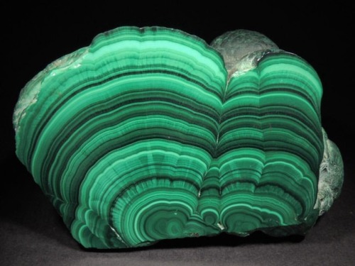 geologypage: Malachite | #Geology #GeologyPage #Mineral Locality: Katanga Copper Crescent, Katanga, 