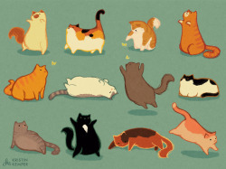 kristinkemper:  my favorite animal is fat cats [prints!]