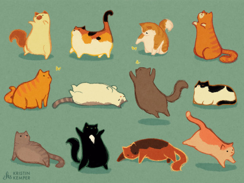 radicallyvisible:kristinkemper:my favorite animal is fat cats[prints!]They’re the best.