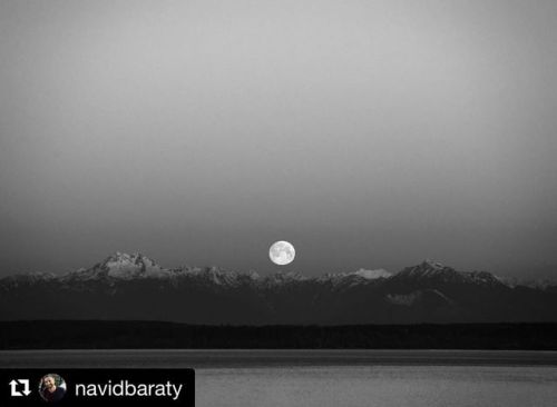 #Repost @navidbaraty ・・・ Dreams of tomorrow • Fifty years ago today, humanity set foot for the first