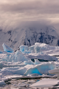 expressions-of-nature:  By the halls of the Snow Queen : Kokinsky Sergey 