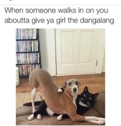 stonedwithcupid:  imninm:  Dangalang   He