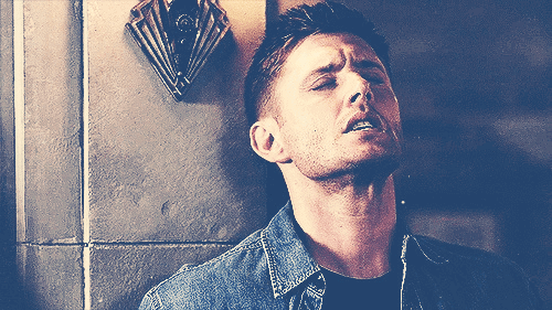 Have I ever sent this? Cause damn.
You know you killed me with this, right? @bringmesomepie56 I love you for this gif😩💜💜 **Sexual Content Below**
[[MORE]] Dean closed his eyes, his head falling back to rest against the stoned wall. His mouth parted...
