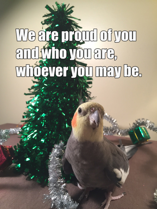 pepperandpals: If your family makes the holidays suck, congrats! You’ve been adopted by my bir