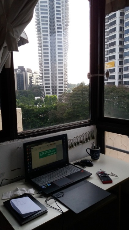 bugboy2:Moved to Singapore for college, got new room, busy busy