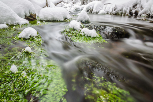 I just love how those little plants seem motionless.© Jeremi Bourassa