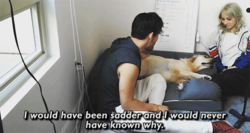 dogiplier:  shut up im weeping  IM SO LUCKY