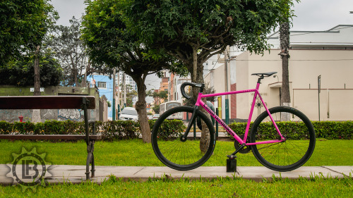 limafixedbikes:  LFB pursuit 58cm | Facebook | Instagram |  Tumblr |