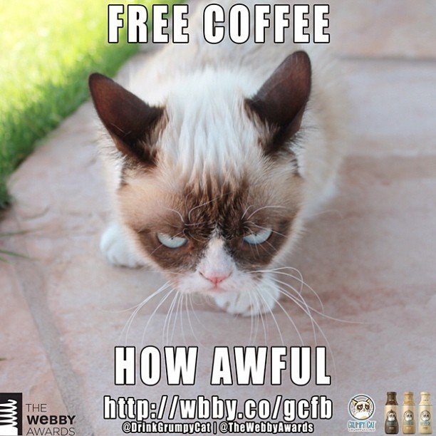 Don't miss the #grumppuccino contest from @TheWebbyAwards and @DrinkGrumpyCat https://wbby.co/gcfb