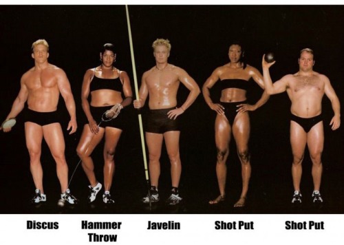 emt-monster:  Different body types for different sports.Source: Ebaums World