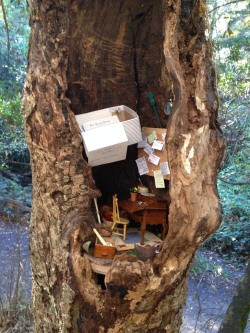 archiemcphee:  Today the Department of Teeny-weeny Wonders happened upon the tiniest post office we’ve ever seen. It’s so small that it fits inside the hollow of a tree located in the vast Tilden Regional Park in Orinda, CA. And it’s even more than