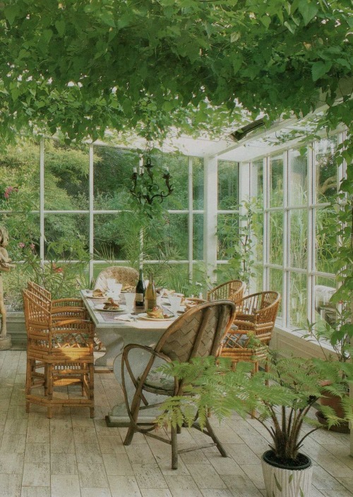 vintagehomecollection:Looking out from a glass conservatory through the leaves of large palms and vi