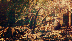 fetch-me-a-block:  Lord of the Rings Alphabet » B is for B E A S T S  