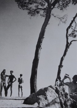 Theskinnytype:handmade Collage By @Theskinnytype