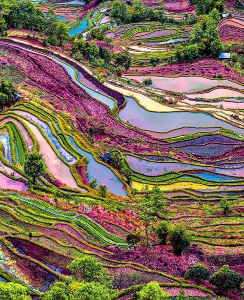 unboxingearth: Yuanyang rice terraces, Yunnan, China