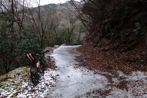 1.9 monMorning gravel ride①冬枯れた丹沢の林道へ。林道の入り口では遥か遠くに見えていた雪が、進むにつれ道を覆うようになる。♫カノン 　 &ldquo;Janis Crunch