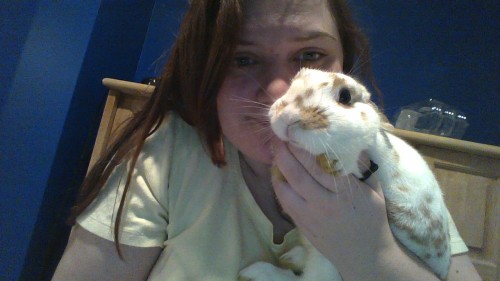 heldinhishands:  a very important photoset of my bunny