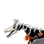 animationmakerfox