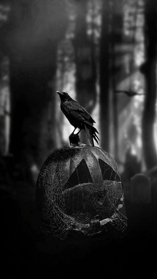 gothicbutcher666 - ⸸ Hαƚҽ Eʋҽɾყσɳҽ.