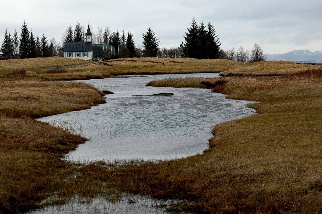 jacindaelena:     Matt Andrews || Iceland 