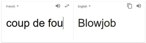 darkphoenixsaga: randomfandomteacher:   indigopersei:  broitsablog:  wildeisms:   @indigopersei is the french language just always on the verge of getting someone accused of assault or..?  my friend,if only you knew   It’s a very dangerous language