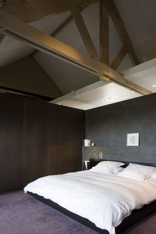 {Loving some elements in this project by Guillaume da Silva, but some architectural elements fe