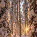 touchn2btouched: