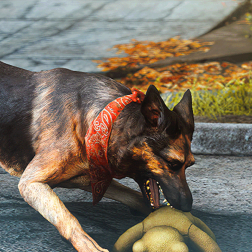 DOGMEAT + Teddy Bear 🧸 Fallout 4 (2015)