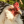 XXX drtanner-sfw:  cluckyeschickens:  Okay so photo