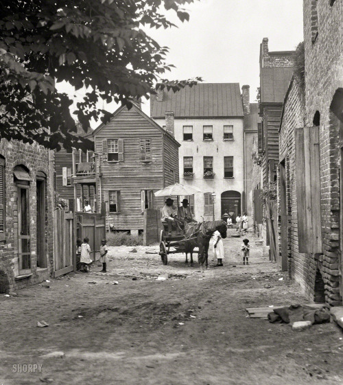 Charleston, South Carolina, circa 1920. “Street scene with horse and wagon.” 4x5 inch ni