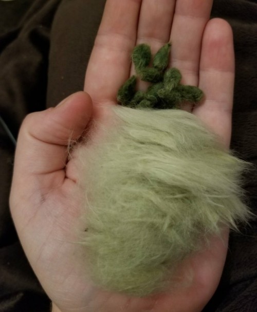 wuukiee: CN: chattel slavery This is Erlene’s Green cotton, and she’s going to help me c