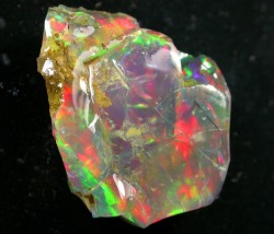 mineralogy-porn:  Ethiopian Opal 