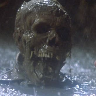 sixpenceee:    The corpses in the rainy Poltergeist pool scene were real skeletons.