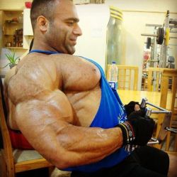 BIG MUSCLE GODS