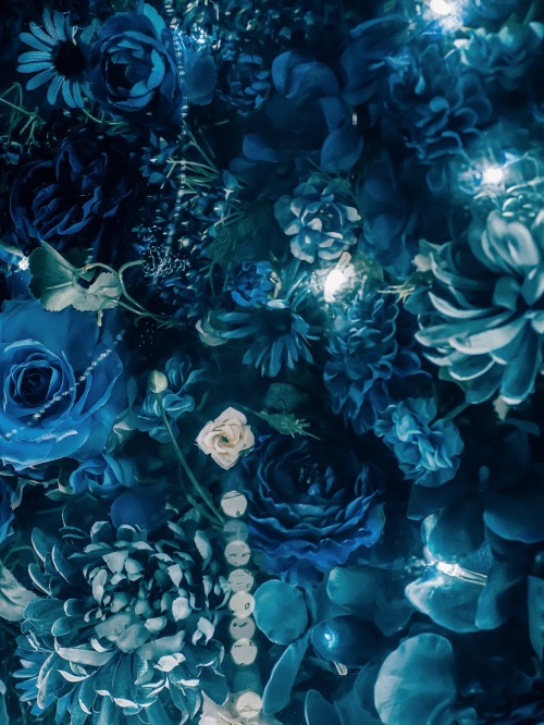 Blue Collections