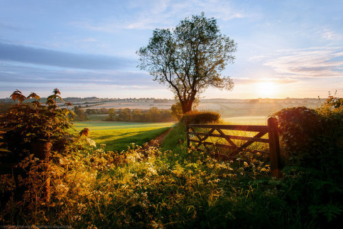 vacilandoelmundo:With rolling hills, rows of honey-colored cottages, and stone bridges, the Cotswold