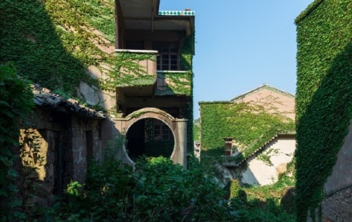 fuckyeahchinesegarden:嵊山shèng shān, zhoushan, hangzhou, zhejiang province