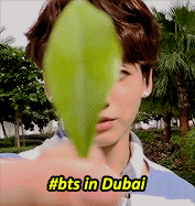 skullhongs:3 days for kookie’s birthday: jungkook during 2016 so far ♡