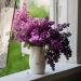 like-fairy-tales: By: allthe beautifulthingsblog