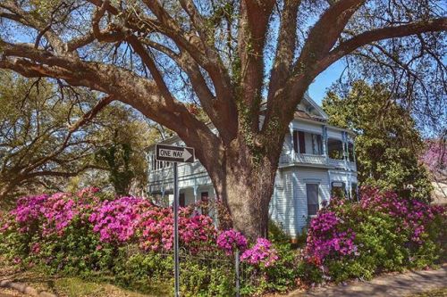 The Historic Bowers Mansion in Palestine, Texas.⁠ ⁠ Texas History- Built in 1878 by merchant Henry A